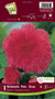 Belgium Begonia Fimbriata 6/up, 1/Pkg