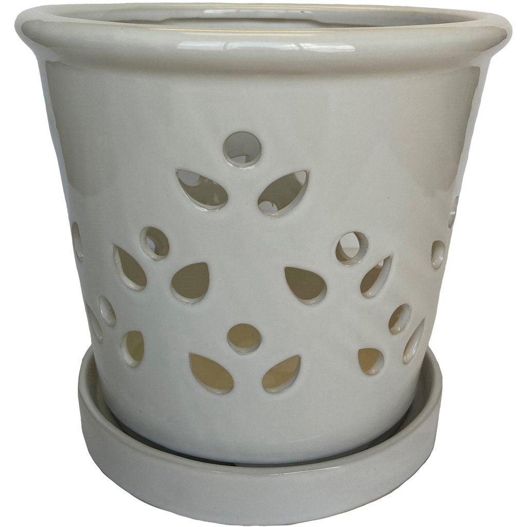 Laelia Orchid Pot 21x21x20cm