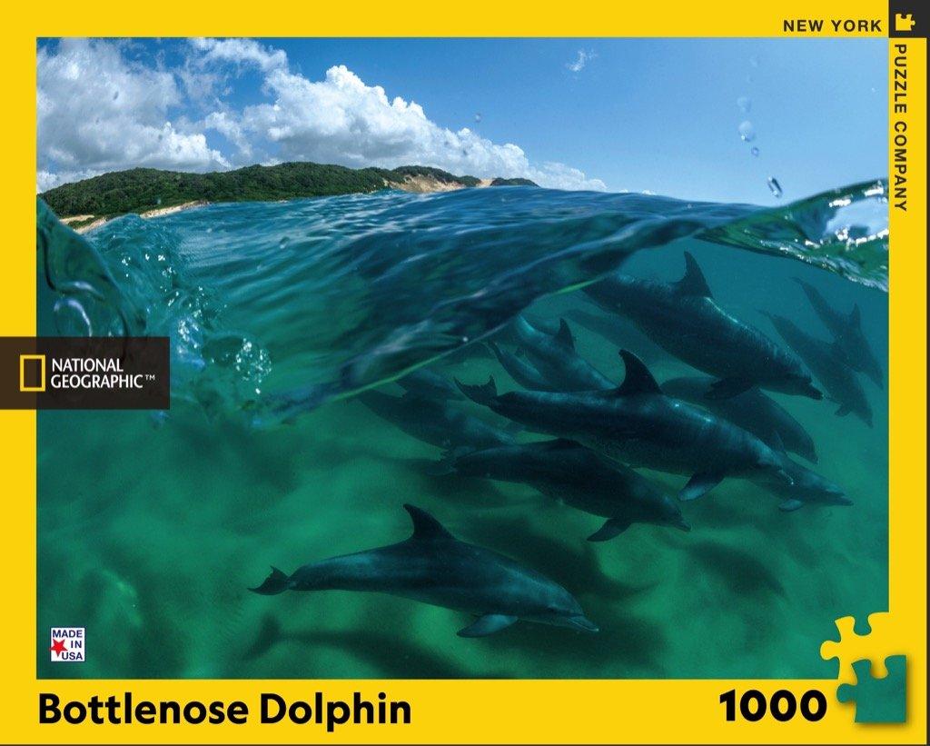 Bottlenose Dolphins puzzle