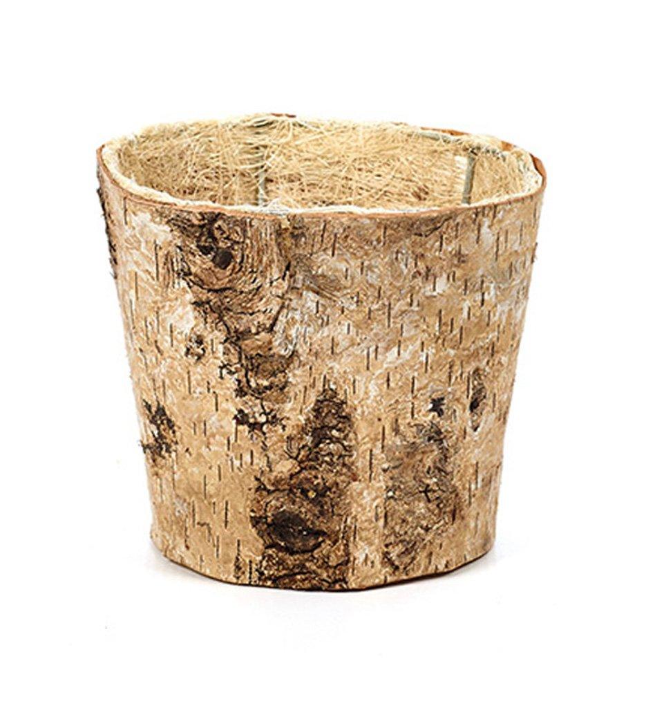 Small Birch Planter 4.75&quot;