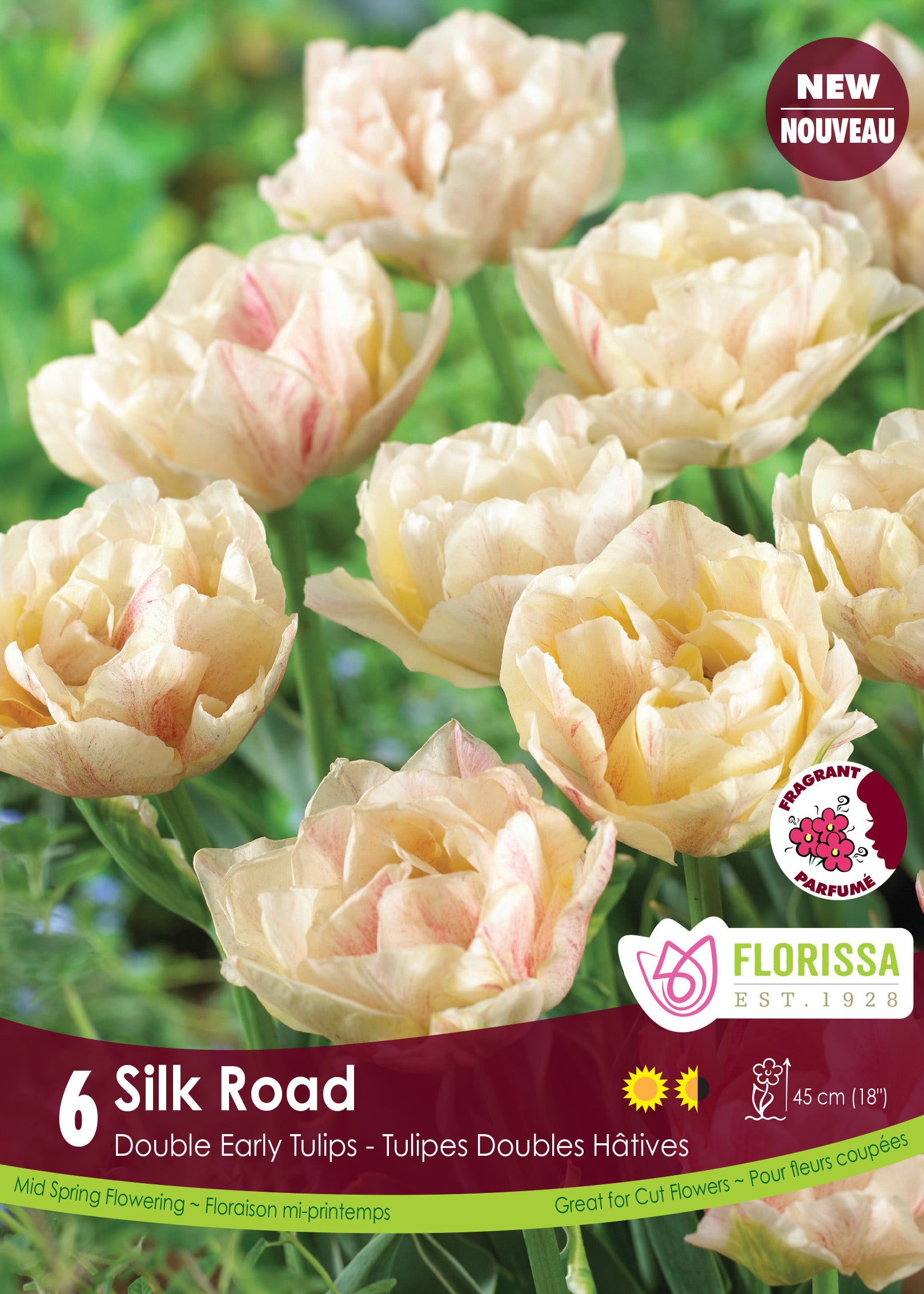 Tulip Silk Road