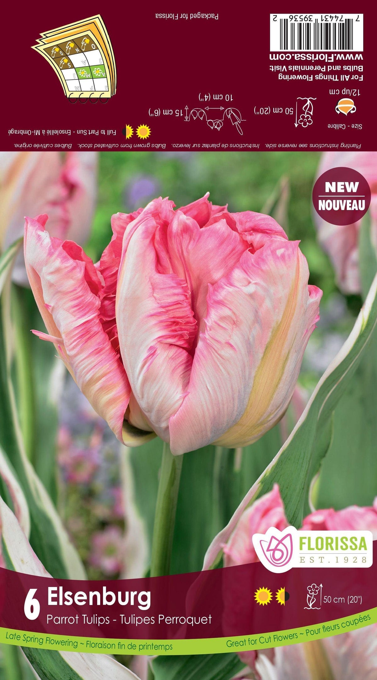 Tulip Elsenburg