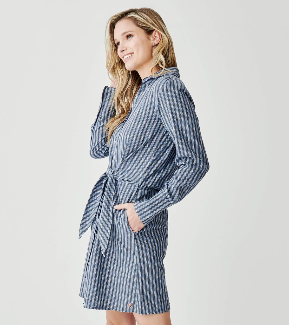 Avery Dress In Stripe Ikat