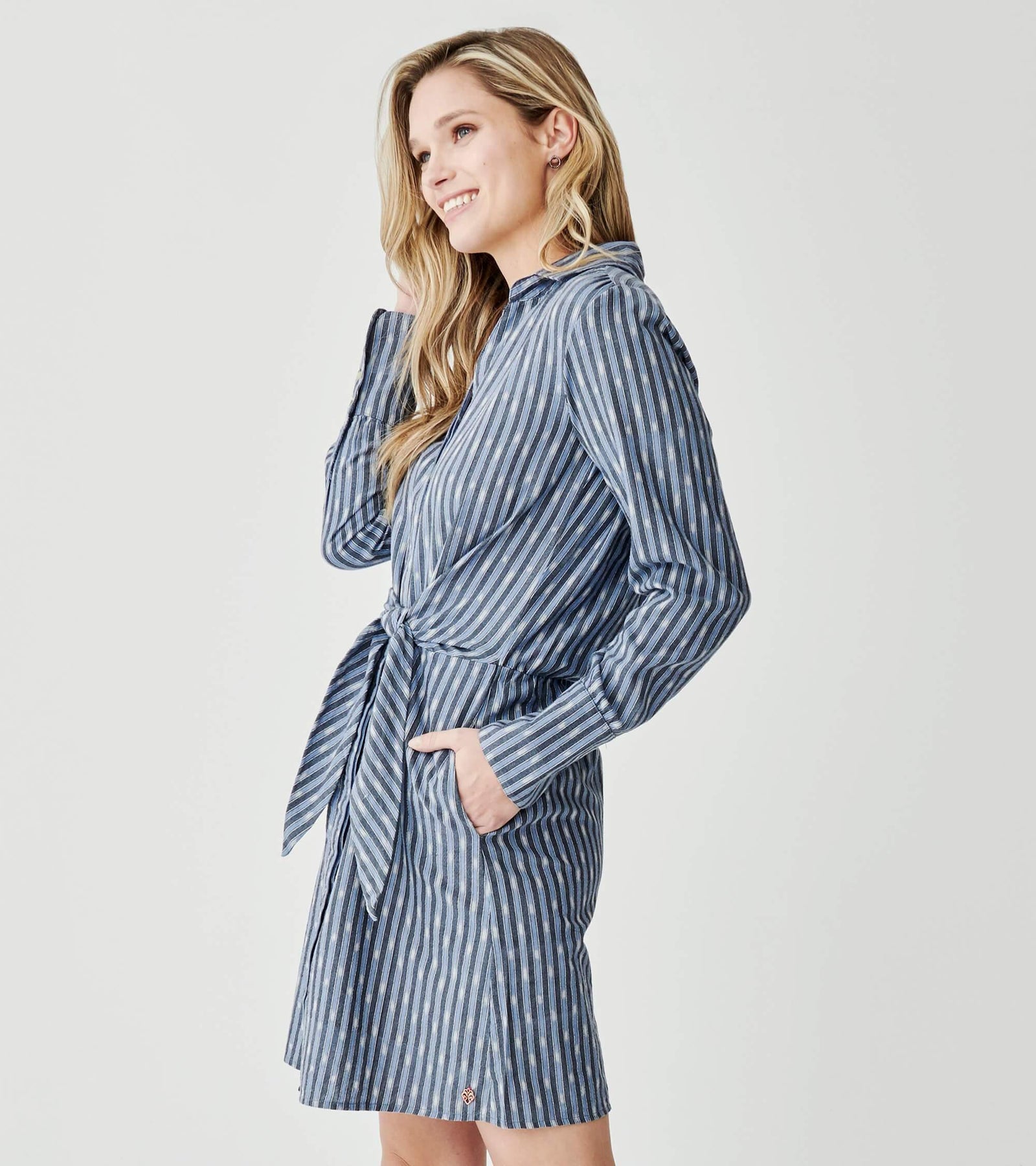 Avery Dress In Stripe Ikat