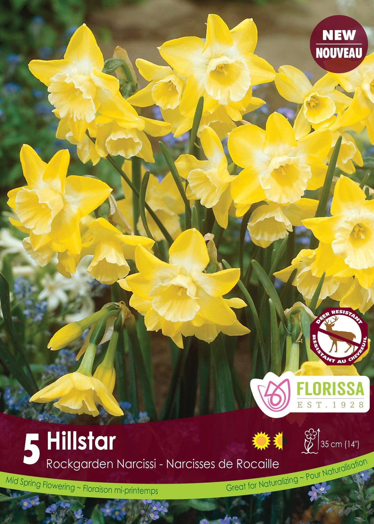 Narcissi Hillstar 5/Pkg