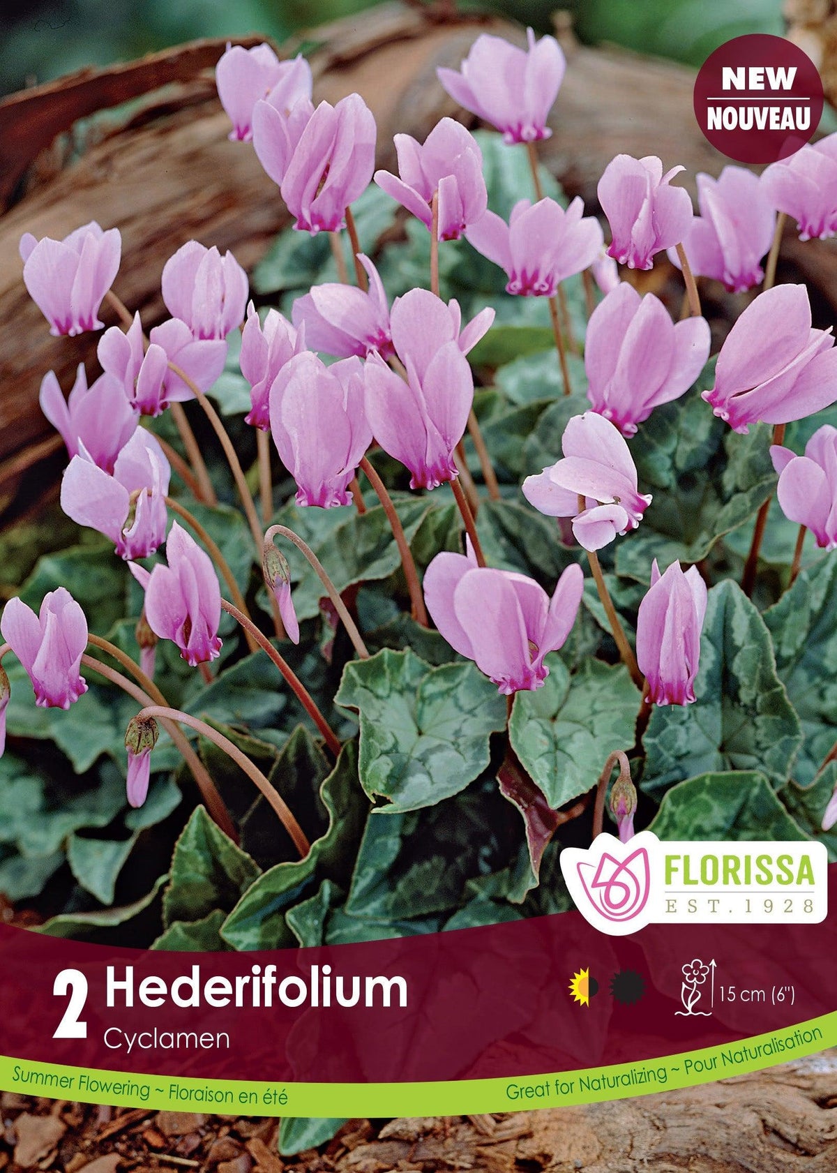 Cyclamen Hederifolium 2/Pkg