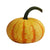 Pumpkin - Warty (Grizzly)