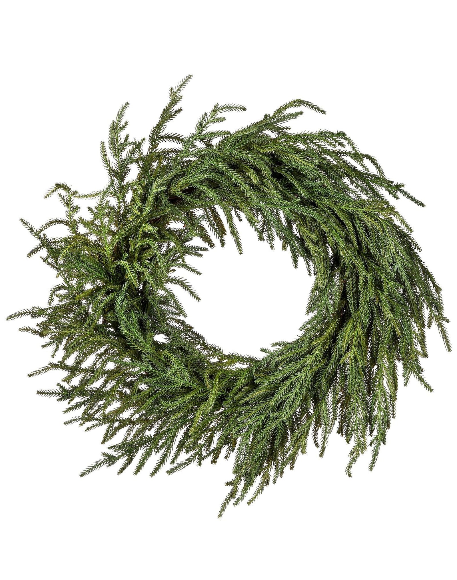 Wreath Norfolk Pine 24"