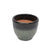 Seaweed Collection Ceramic Pot