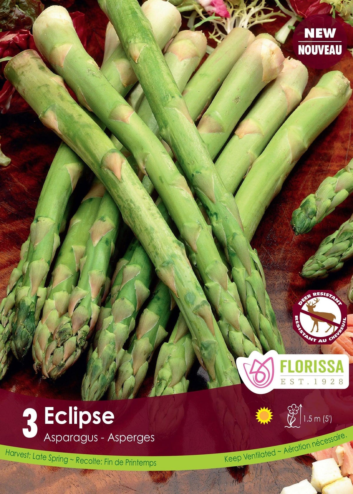 Asparagus Eclipse 3/PK