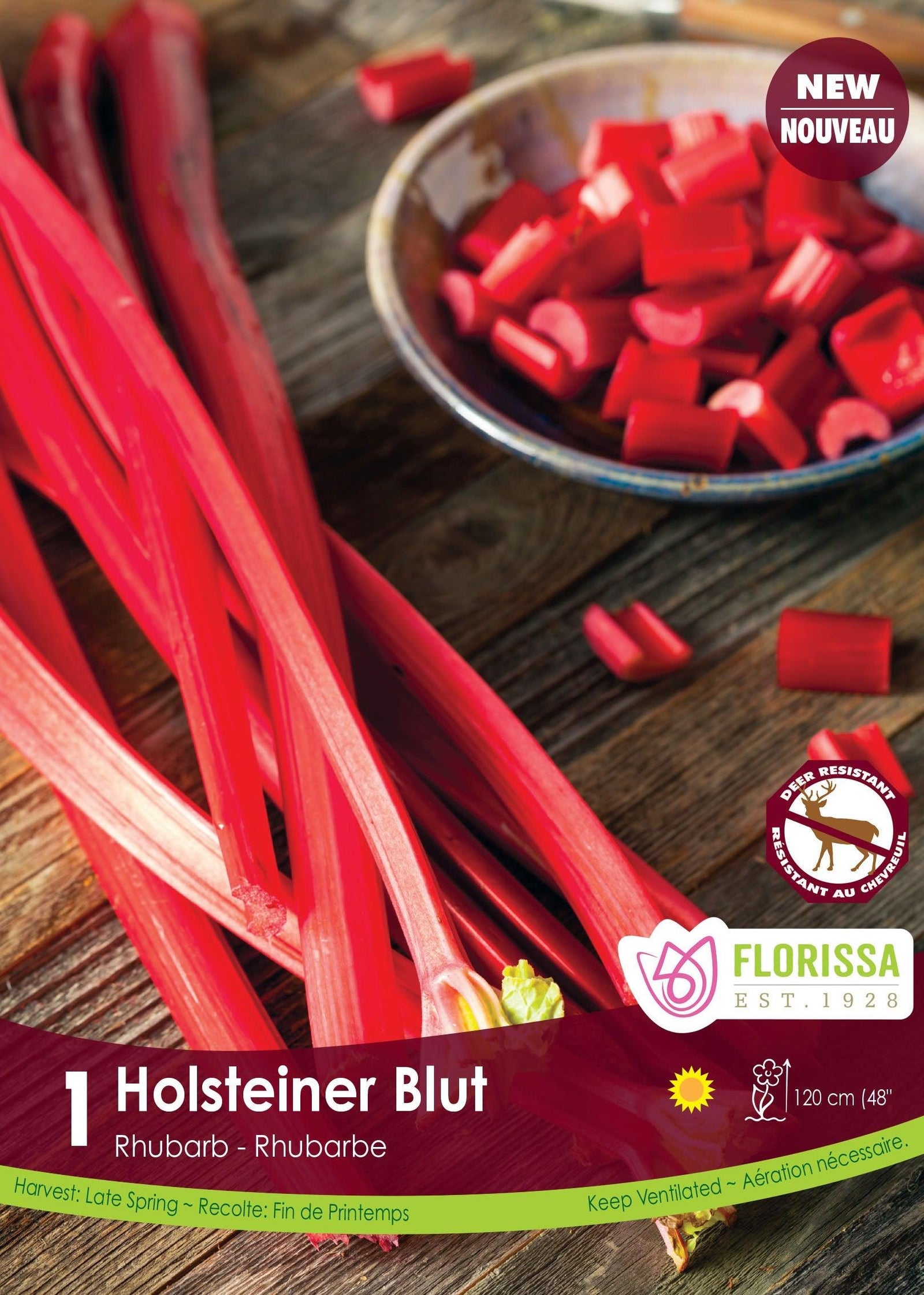 Rhubarb Holstenier Blut 1/PK