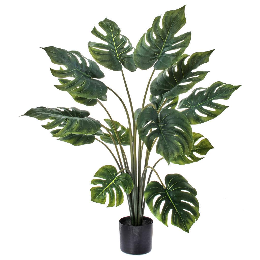 Philo Plant Everlasting 38&quot;