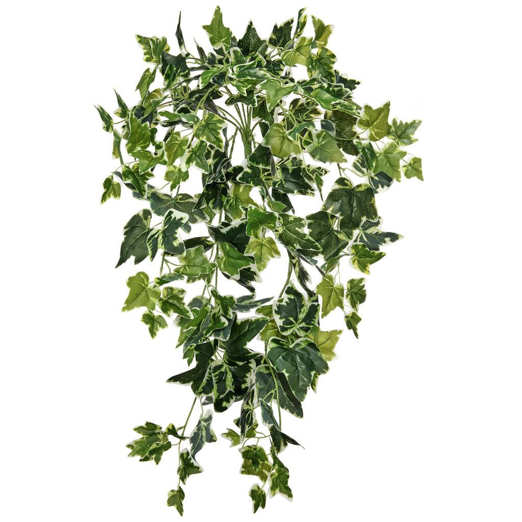 Hanging Ivy Plant Everlasting 29&quot;