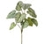 Aglaonema Plant Plug Everlasting 32"