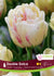 Tulip Double Dolce 6/PKG Bulbs