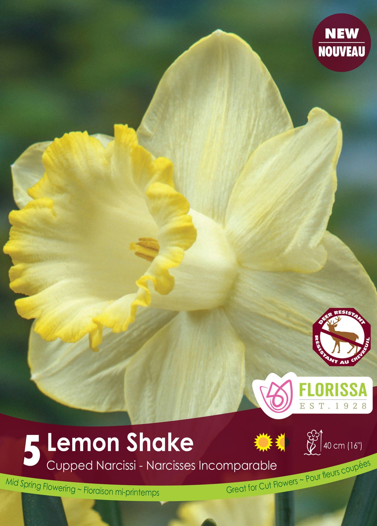 Narcissi-Lemon Shake 5/PKG Bulbs