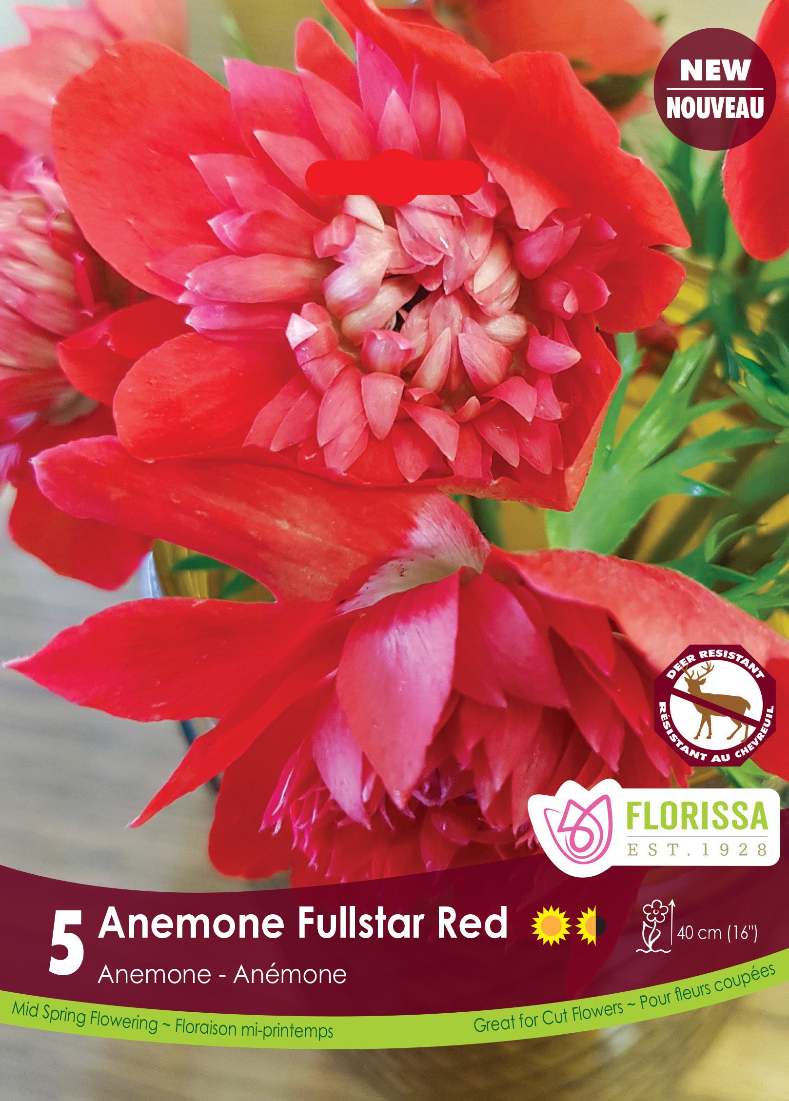 Anemone Fullstar Red 5/PKG Bulbs