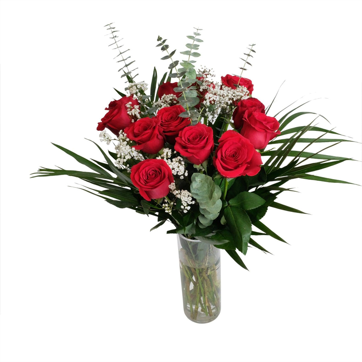 Dozen Long Stem Roses Arranged in a Vase with Baby's Breath and Greens