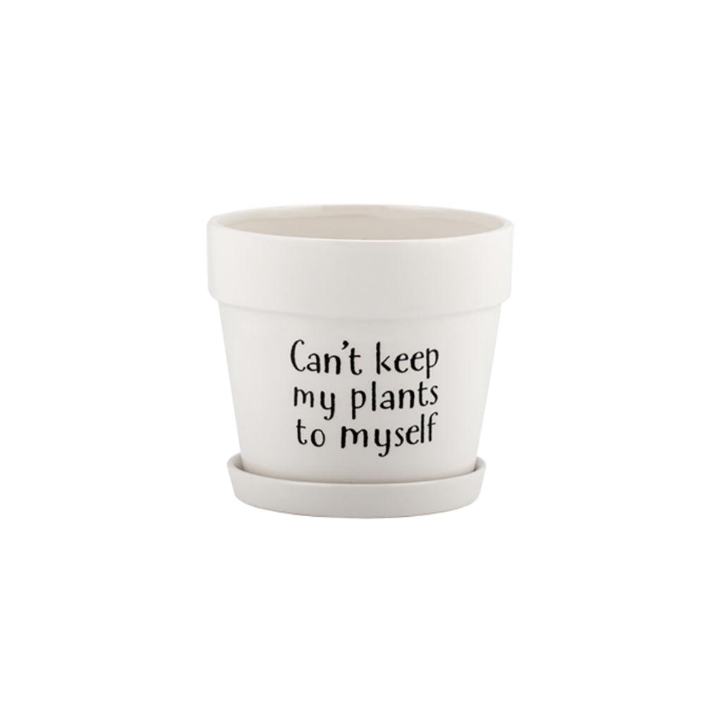 plant pots with funny sayings Pot W/Saucer Witty Saying 6" Dia Asst