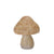 Mushrooms Assorted