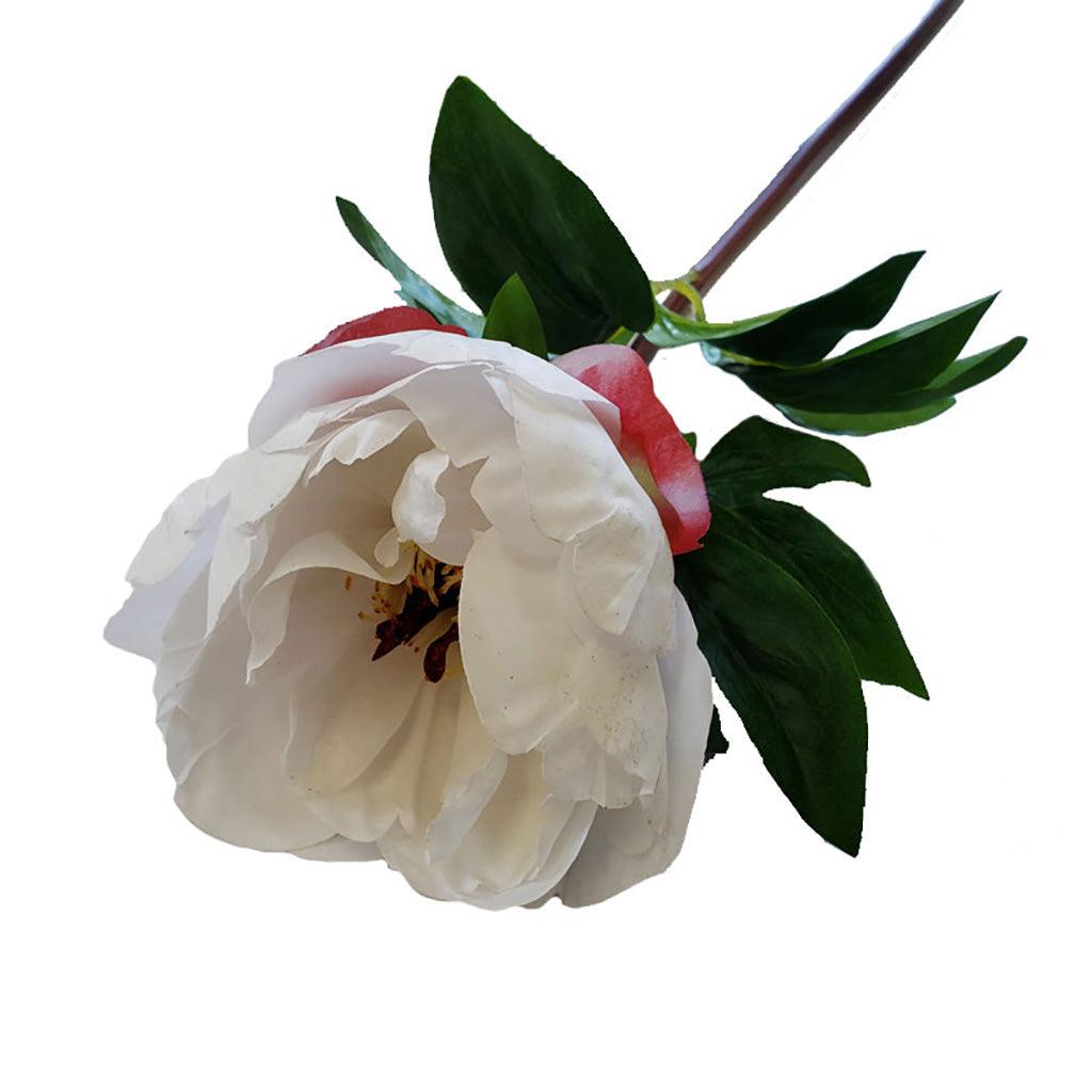 Peony &quot;Real Touch&quot; White