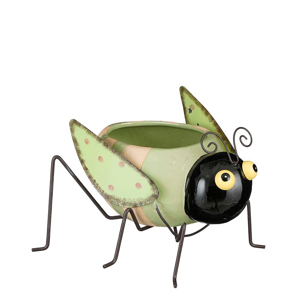 Indoor Planters & Pots - Sheridan Nurseries Online