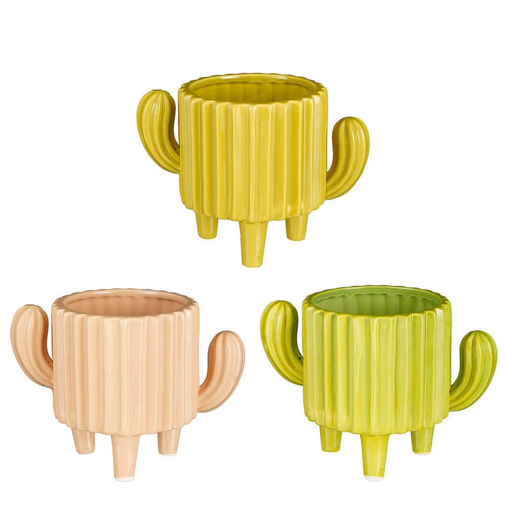 Indoor Planters & Pots Sheridan Nurseries Online