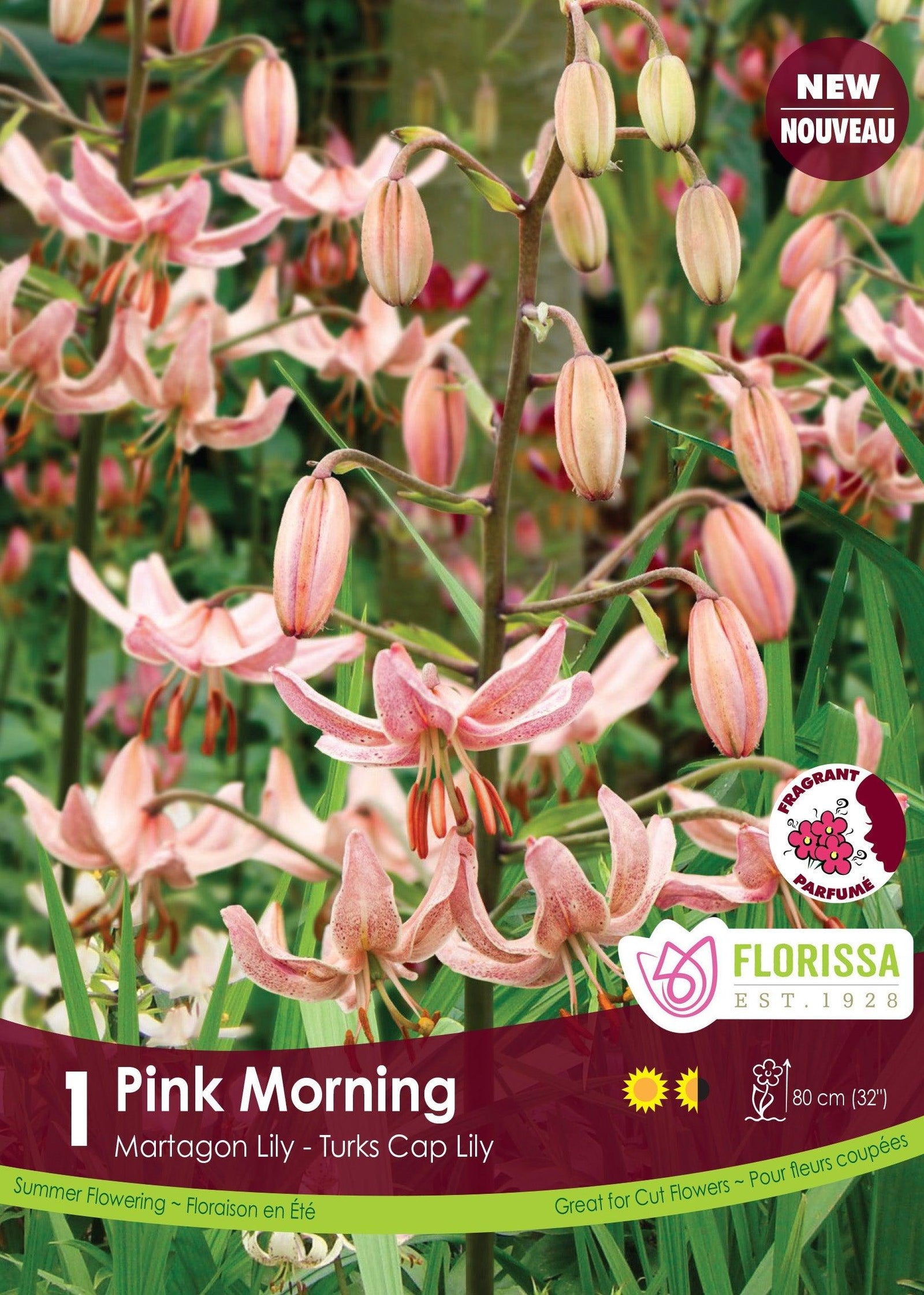 Martagon Lily Pink Morning 1/PKG