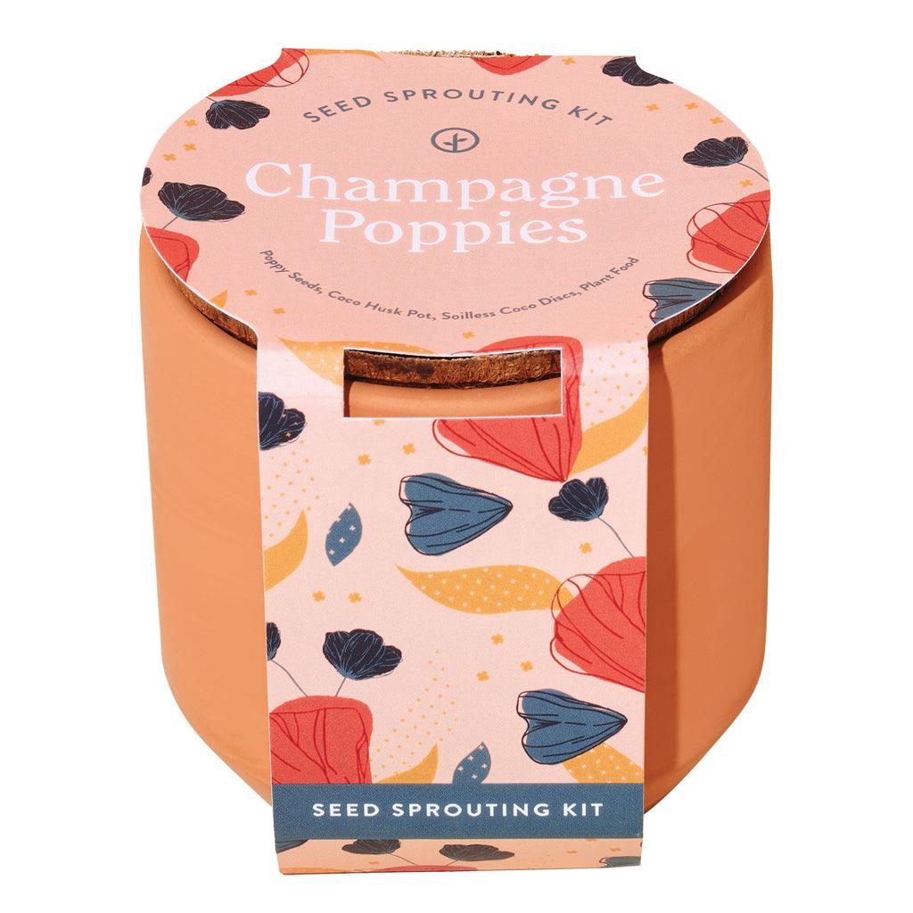 Champagne Poppies Tiny Terracotta Kit