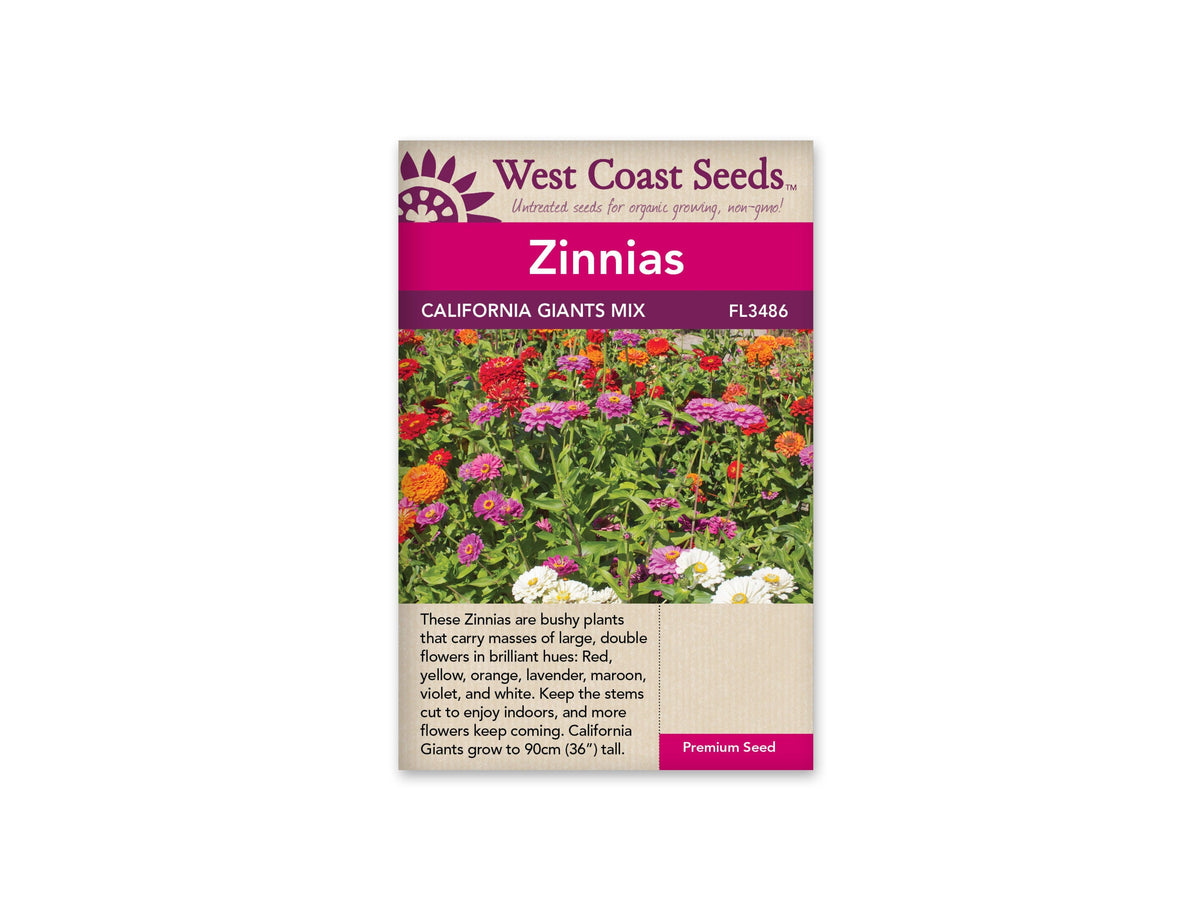 Zinnias California Giants Mix