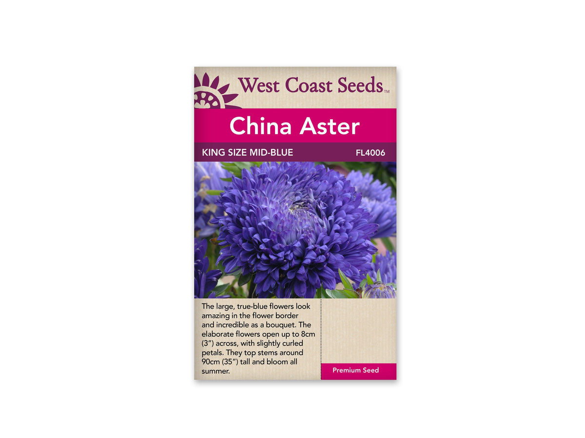 Marvel at these lush seeds thriving in the sun, maturing in 105-119 days with a 90cm height and 8cm wide blooms. Delight in the China Aster King Size Mid-Blue as an eye-catching part of your outdoor space for a single growing season. Not only visually stunning, these asters make great cut flowers for indoor bouquets, infusing your home with the beauty of the garden. Transform your landscape with their king-sized blossoms, adding a mesmerizing touch to any arrangement.