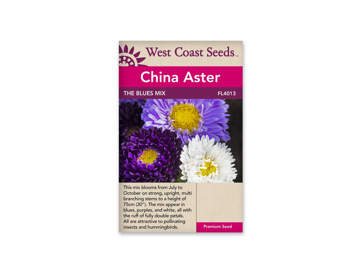 Introducing China Aster The Blues Mix, a vibrant addition to your garden. These charming flowers mature in 105-119 days, thriving in full sun and attracting hummingbirds. They make excellent cut flowers and bloom from July to October. With a height of 75 cm, they add a delightful touch to your landscape, creating a lively atmosphere that will enchant both you and your visitors throughout the blooming season.