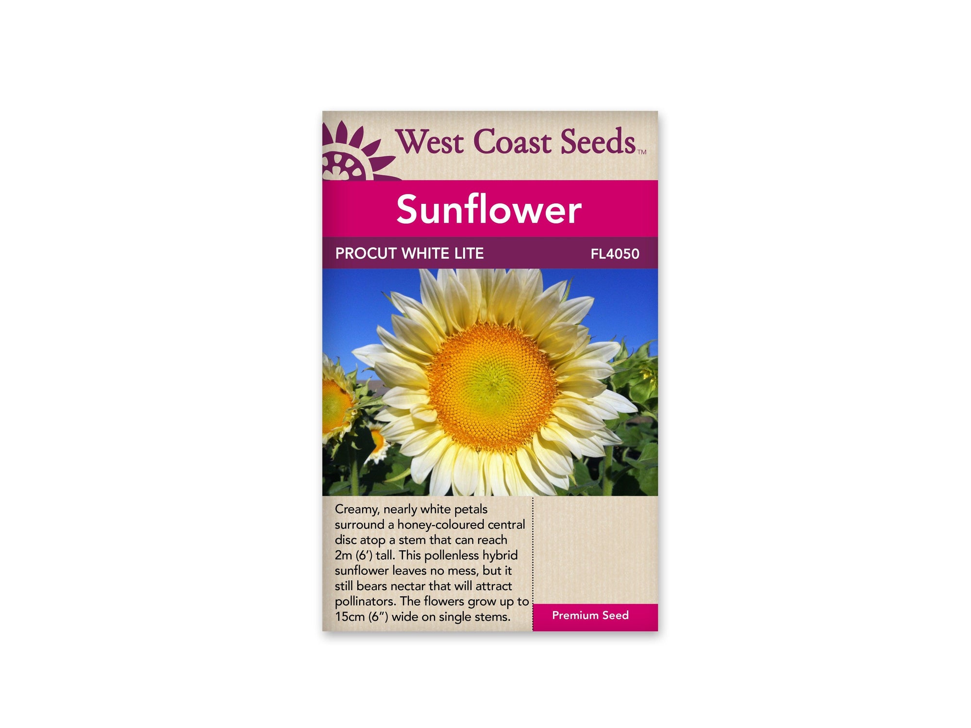 Sunflowers Procut White Lite F1 (25 Seeds)
