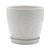 White Fern Print Pot with Saucer