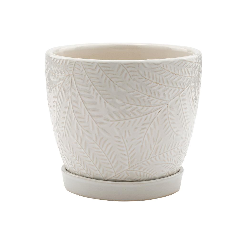 White Fern Print Pot with Saucer
