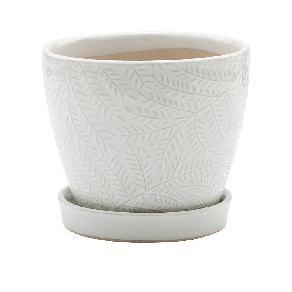 White Fern Print Pot with Saucer
