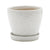 White Fern Print Pot with Saucer