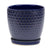 The cobalt blue ceramic adds a pop of color to any room and its sleek design is perfect for holding small to medium sized plants