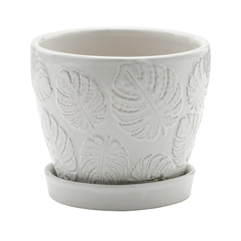 White Monstera Pot with Saucer