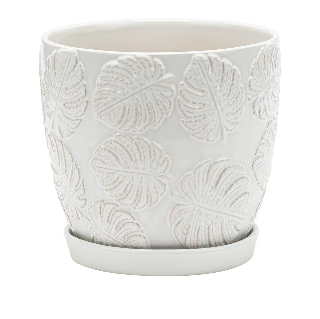 White Monstera Pot with Saucer