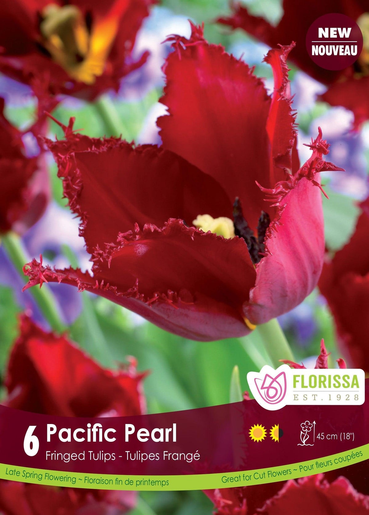 Tulip Pacific Pearl 6/Pkg
