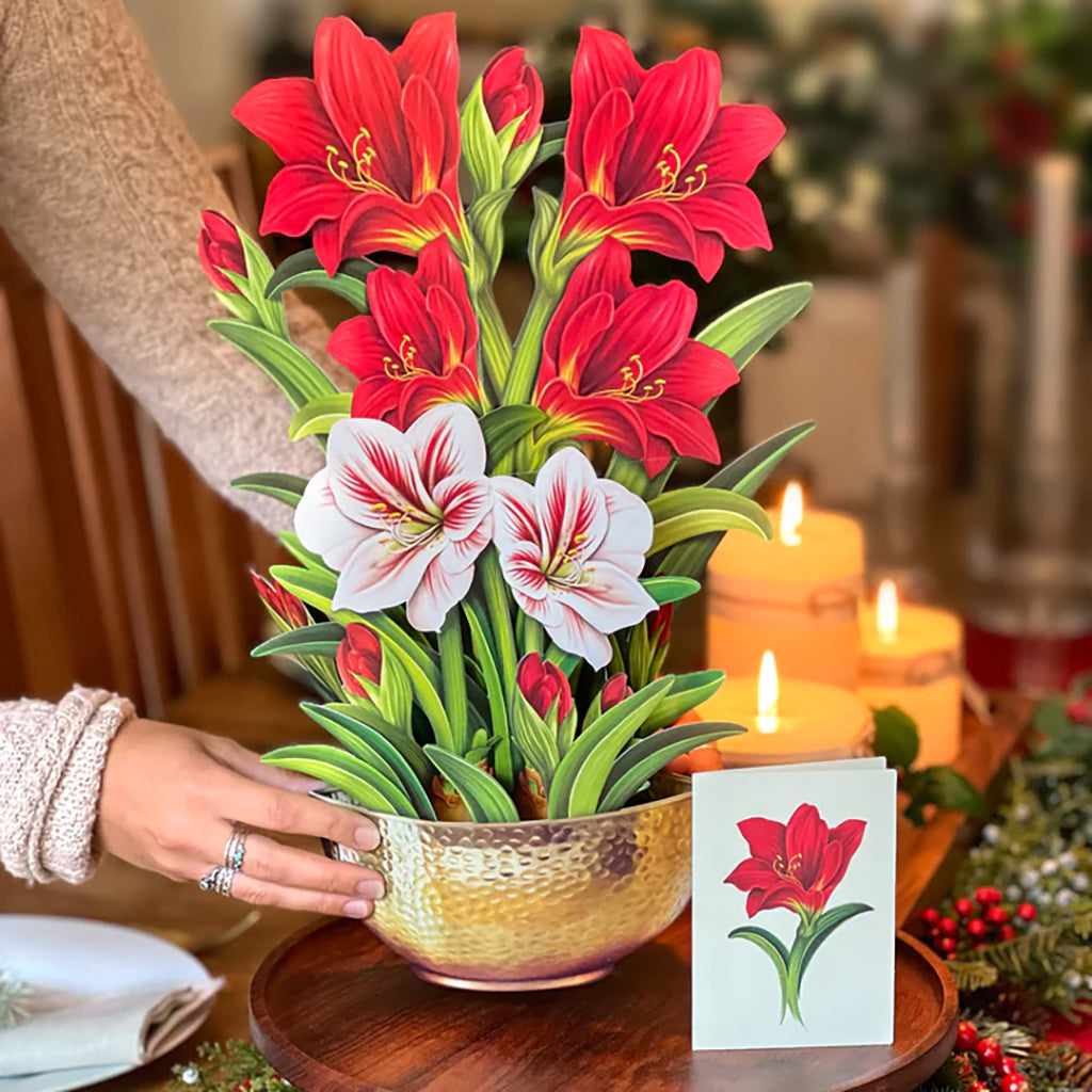 Scarlet Amaryllis Bouquet And Card