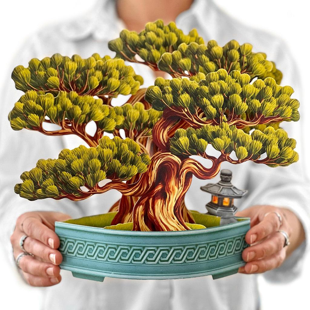 3d bonsai tree Wisdom Bonsai 3D Paper And Card