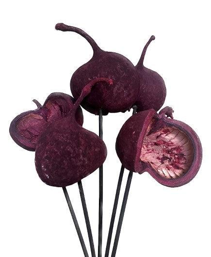 Introducing the Buddha Nut Burgundy 5 Stem set, a sophisticated and unique addition to your décor. These artificial Buddha Nuts are crafted in a deep, rich burgundy hue, adding a touch of elegance to your arrangements. 