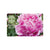 Gift Card - Pink Peony - Mailed to You
